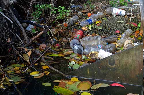 Trash floating in the Woonasquatucket River